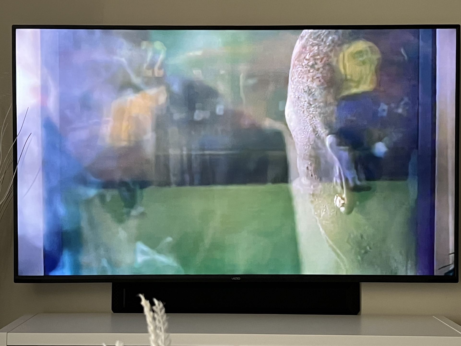 65” Vizio