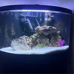 65 Gallon Fish Tank with EVERYTHING
