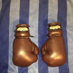 Top Boxer Old School Boxing Gloves 