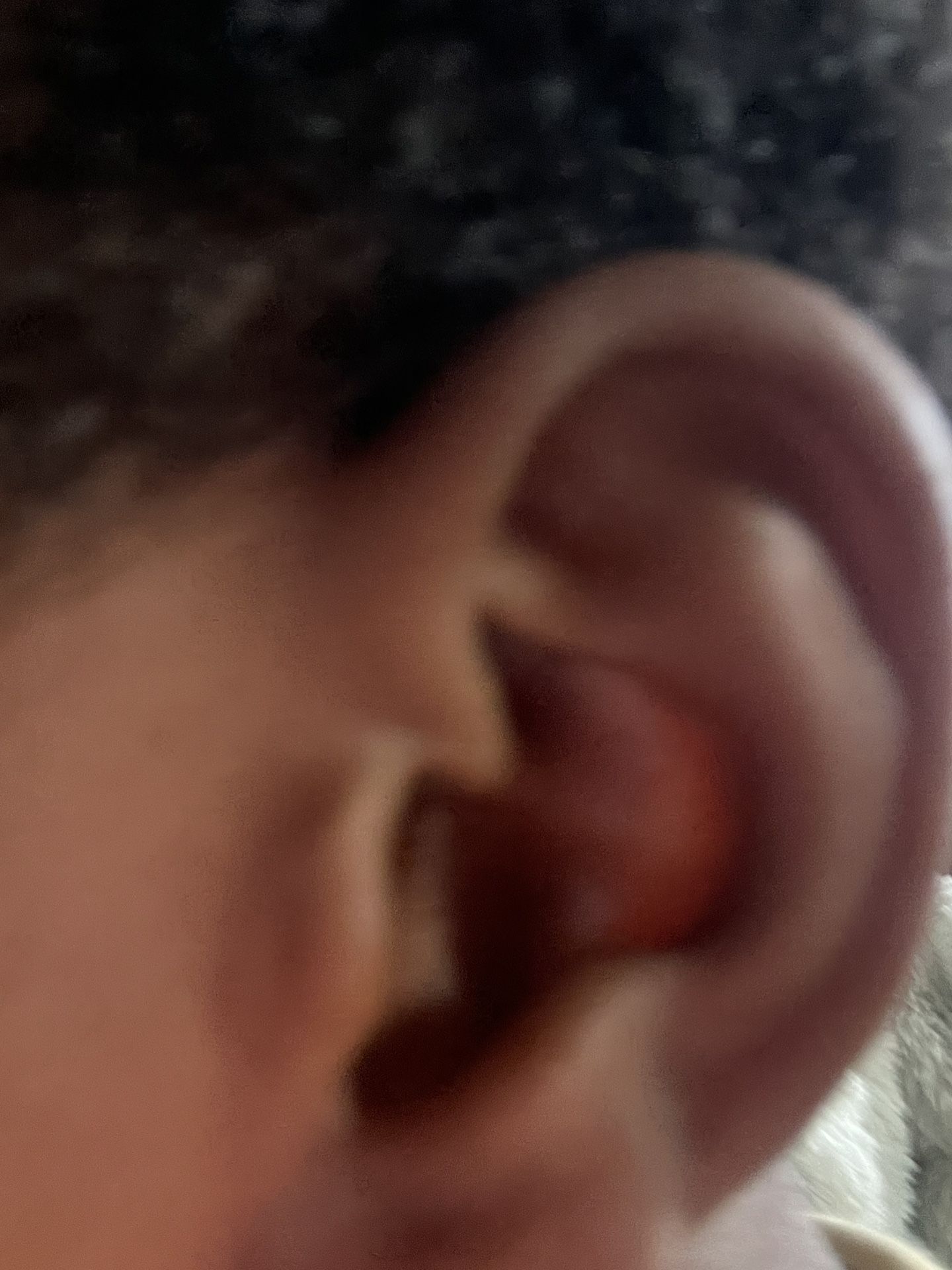 Ear