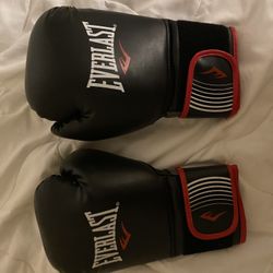 Everlast Leather 16oz Boxing Gloves 