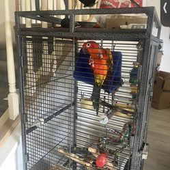 Selling Cage With Everything In It