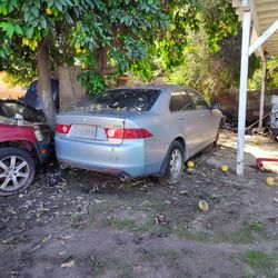 2004 Acura Tsx Part Out Part Out Part out Honda Acura K20a K24 Jdm Type S 