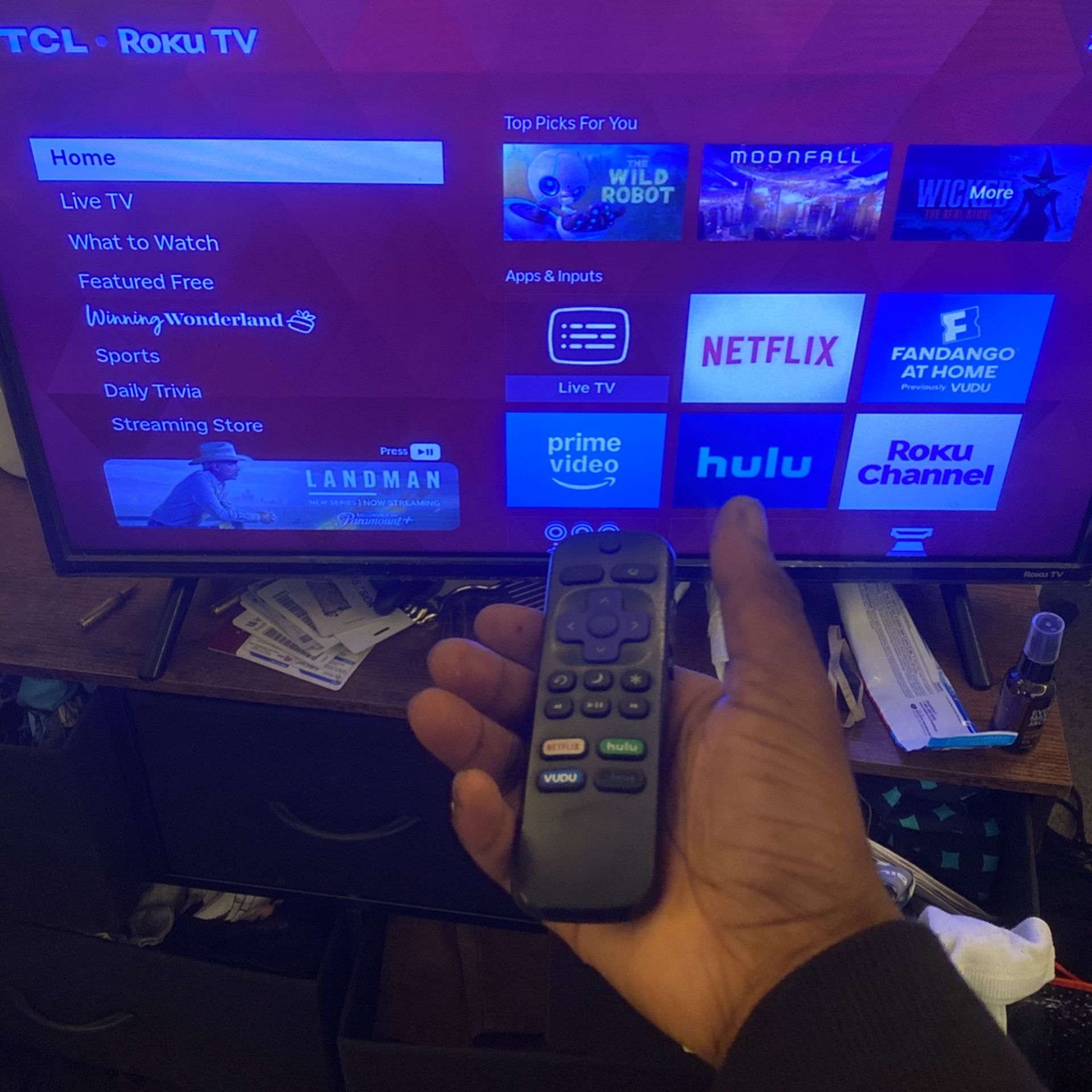 Roku Tv
