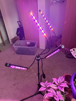Grow Lights For Plants