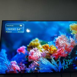 65 Inch Screen Roku Cool On