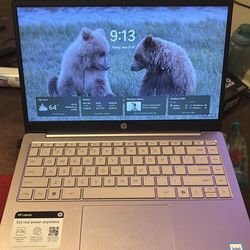 Hp laptop comes with a mouse