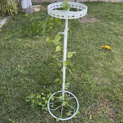 Flower Arrangement Holders 