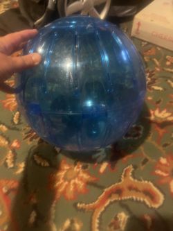 Giant Small Animal Ball