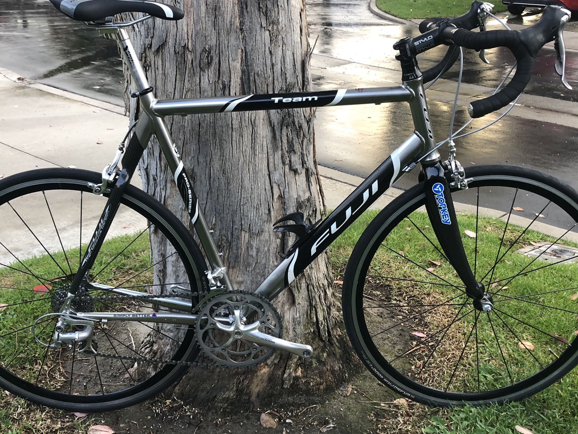 Team Fuji Pro-Series Road Bike 61cm