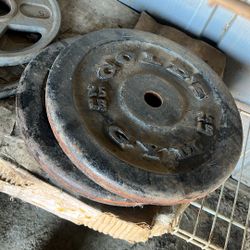 Golds Gym 25 Pound Set 