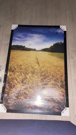 Marvel pictures frame and a other pictures frame