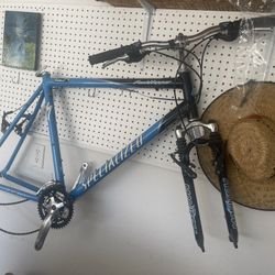 Specialized Mountain Bike