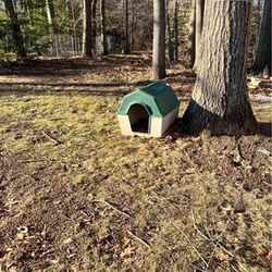 Large Durable Plastic Dog House 