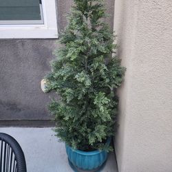 Pots Ceramic set of 2 plus 2 Artificial Trees