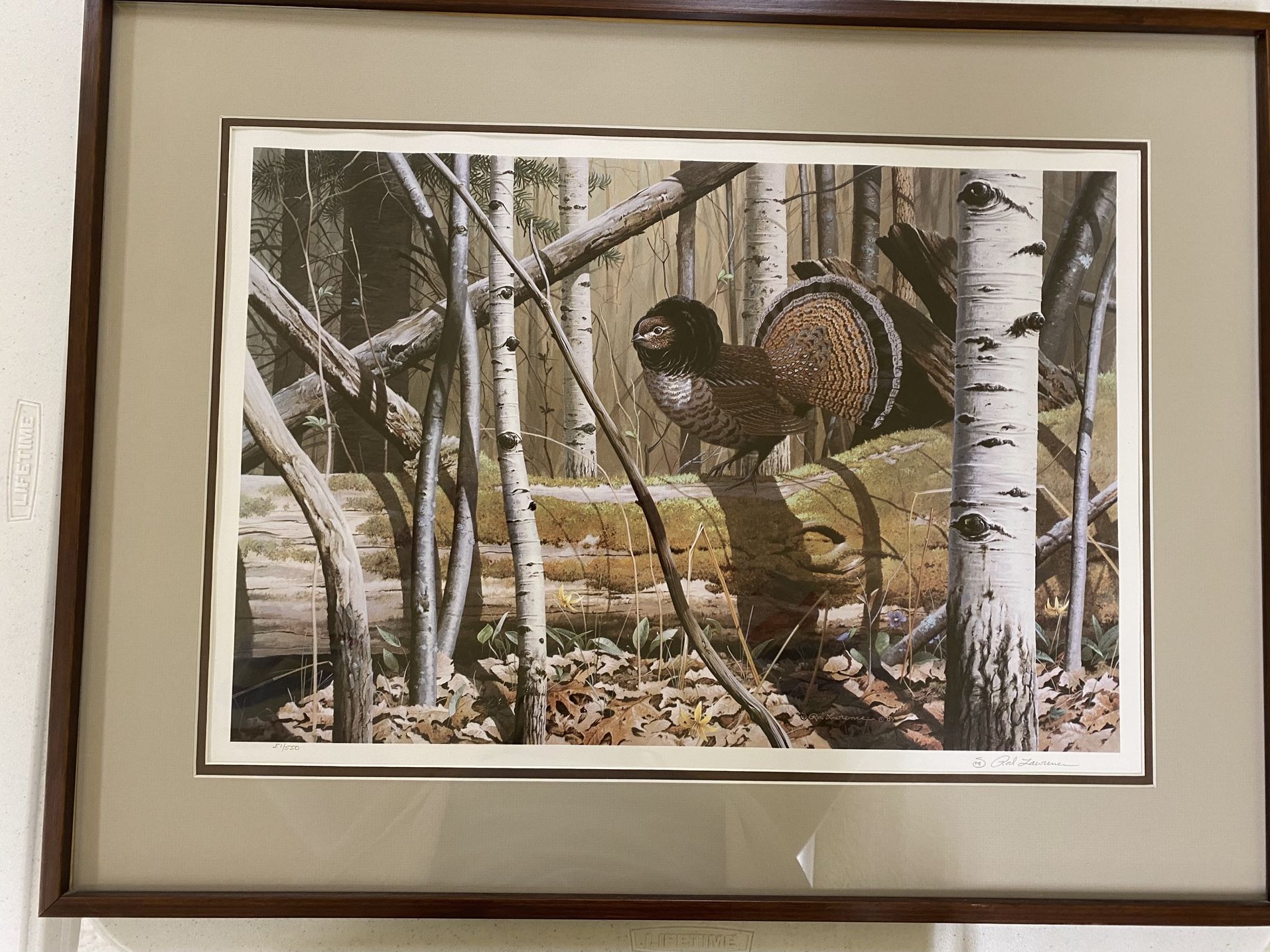Rod Laurence Signed, Numbered Print