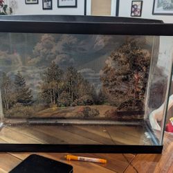 13 Gallon Fish Tank 
