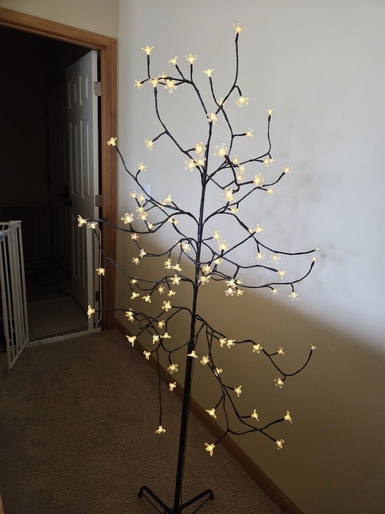 Free Lamp