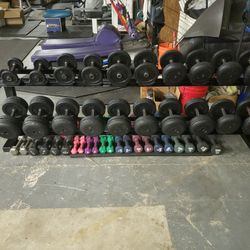Troy Rubber Encased Pro Dumbbells 5-50 lb Set With FLEX Fitness Pro Dumbbell Rack 