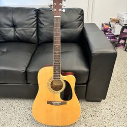 New York pro NY-977CN acoustic guitar