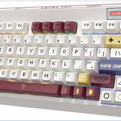 RisoPhy PC423 Wireless Creamy Keyboard with Screen & Knob, 75% 2.4G/Bluetooth/USB-C Gasket RGB Mechanical Keyboard, Hot Swappable, Five-Layer Padding 