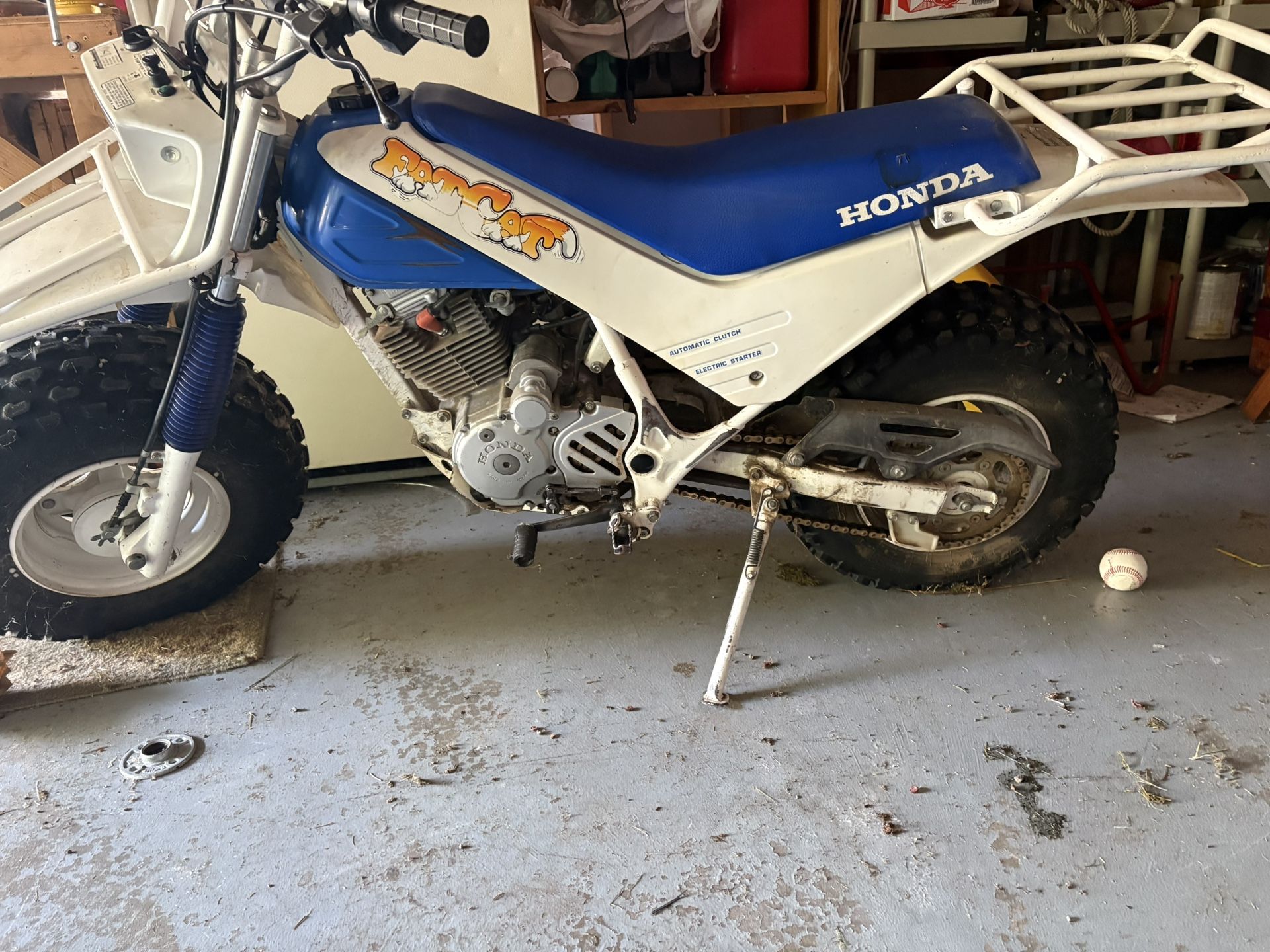 1986 Honda Fat cat