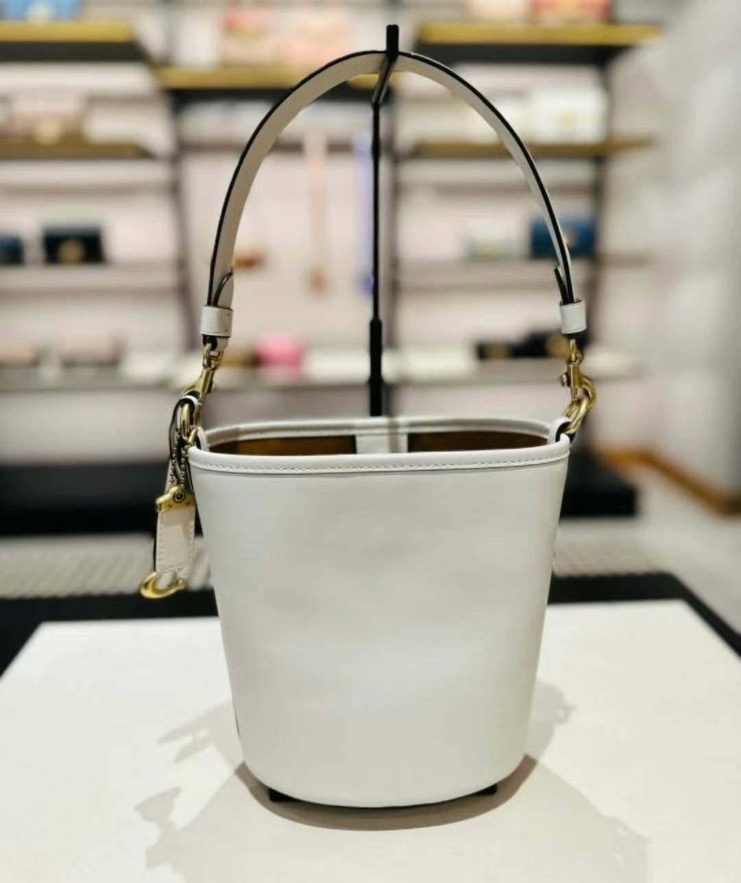 Coach Dakota Bucket Bag 16