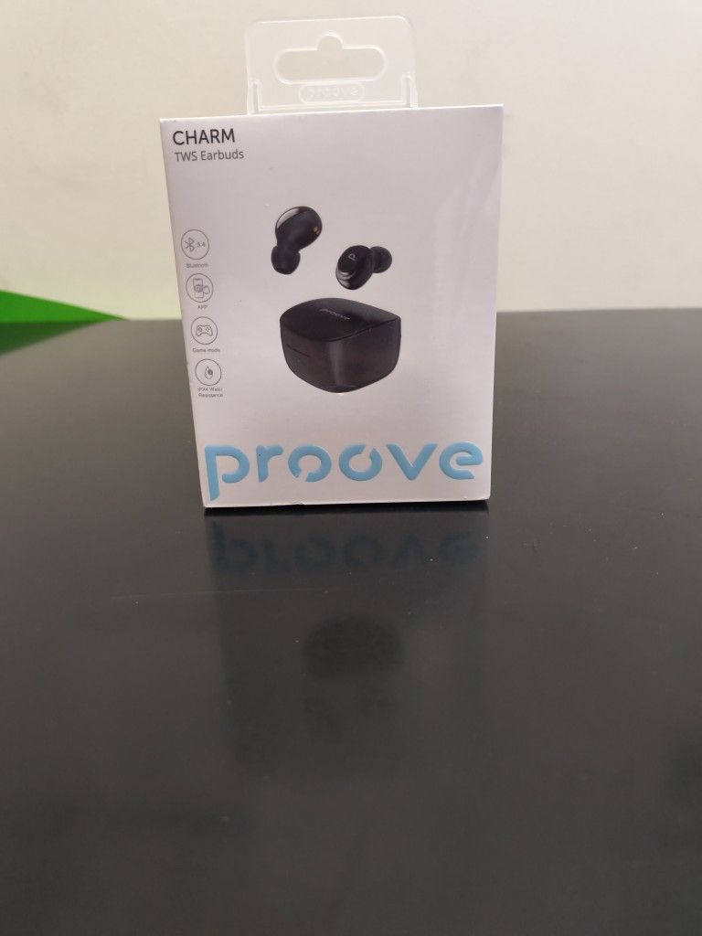 Charm TWS Earbuds