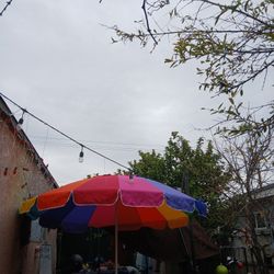 Umbrella  Multicolor  Beach 