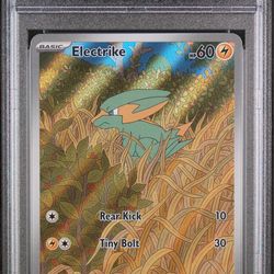 Electrike - GEM MT 10