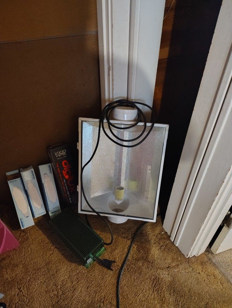 Hood, Ballast And Bulbs
