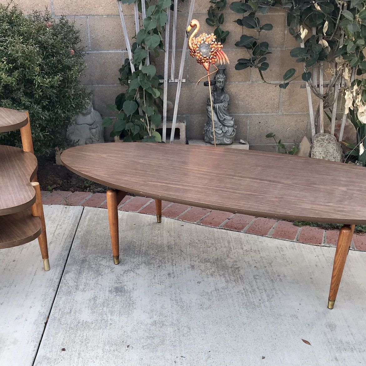 Mid Century atomic Floating Coffee Table & Biomorphic Side Table