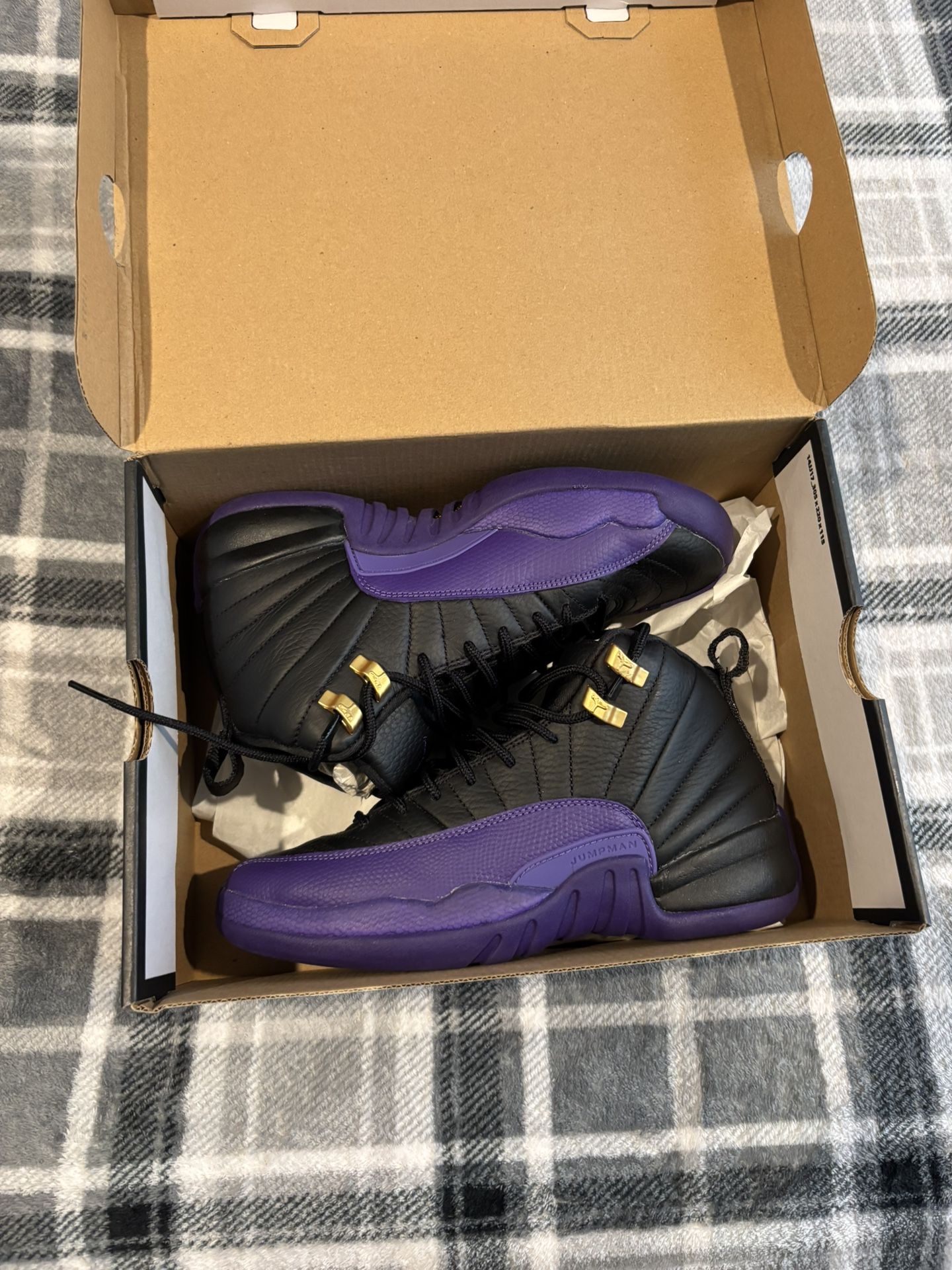 Jordan 12’s