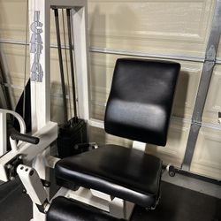 Leg Extension