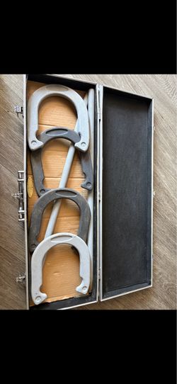 Horseshoe set