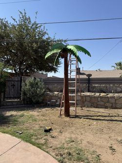 Metal Palm Tree 9- 10 Feet Tall