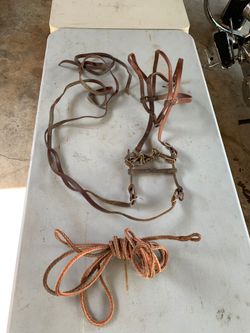 Horse accessories
