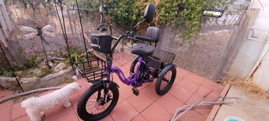 Eskute Electric Tricycle with Baskets- Eskute T300 with accessories  - purple