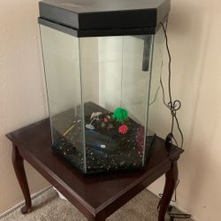 Fish Tank
