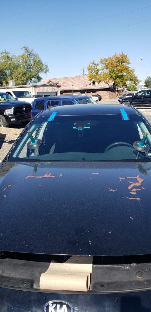 Windshield