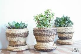 Rope Covered Flower Pots