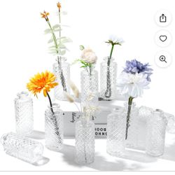 16pcs Clear Bud Vases