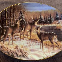 Bradford Exchange Collectible Plate “Broken Silence“