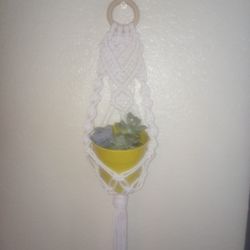Mini Macrame Plant Holder 