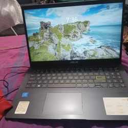 Asus Laptop Works Perfect $100