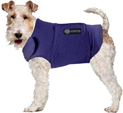 Brand: American Kennel Club American Kennel Club Anti Anxiety and Stress Relief Calming Coat for Dogs, small blue Dog anxiety is a surprisingly common