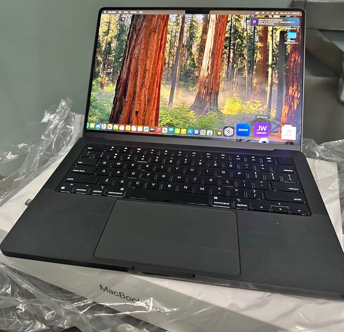 Apple MacBook Pro 14 - M4 chip 16GB Memory - 512GB and Apple Magic Mouse