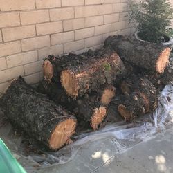 Free Log