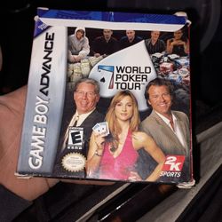 Game Boy Advance Game With Manual And Game Cartridge 