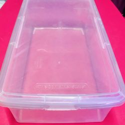 The Container Store Clear Plastic Storage Box For Shoes Sneakers or Accessories Drawers Item Stuff